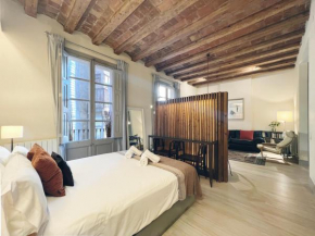 Отель Plaza Catalunya IX Apartment  Барселона